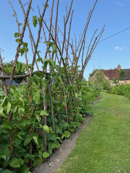 Nutbourne Village Gardens